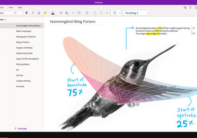 How to develop robust habits for OneNote